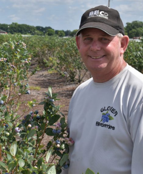 grower-Glover Blueberries–blueberry
