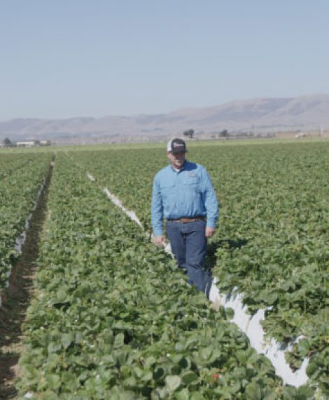 grower-Mysty-Ranch