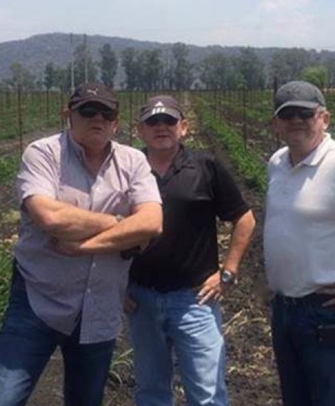 grower-universal-berries-farm-mexico