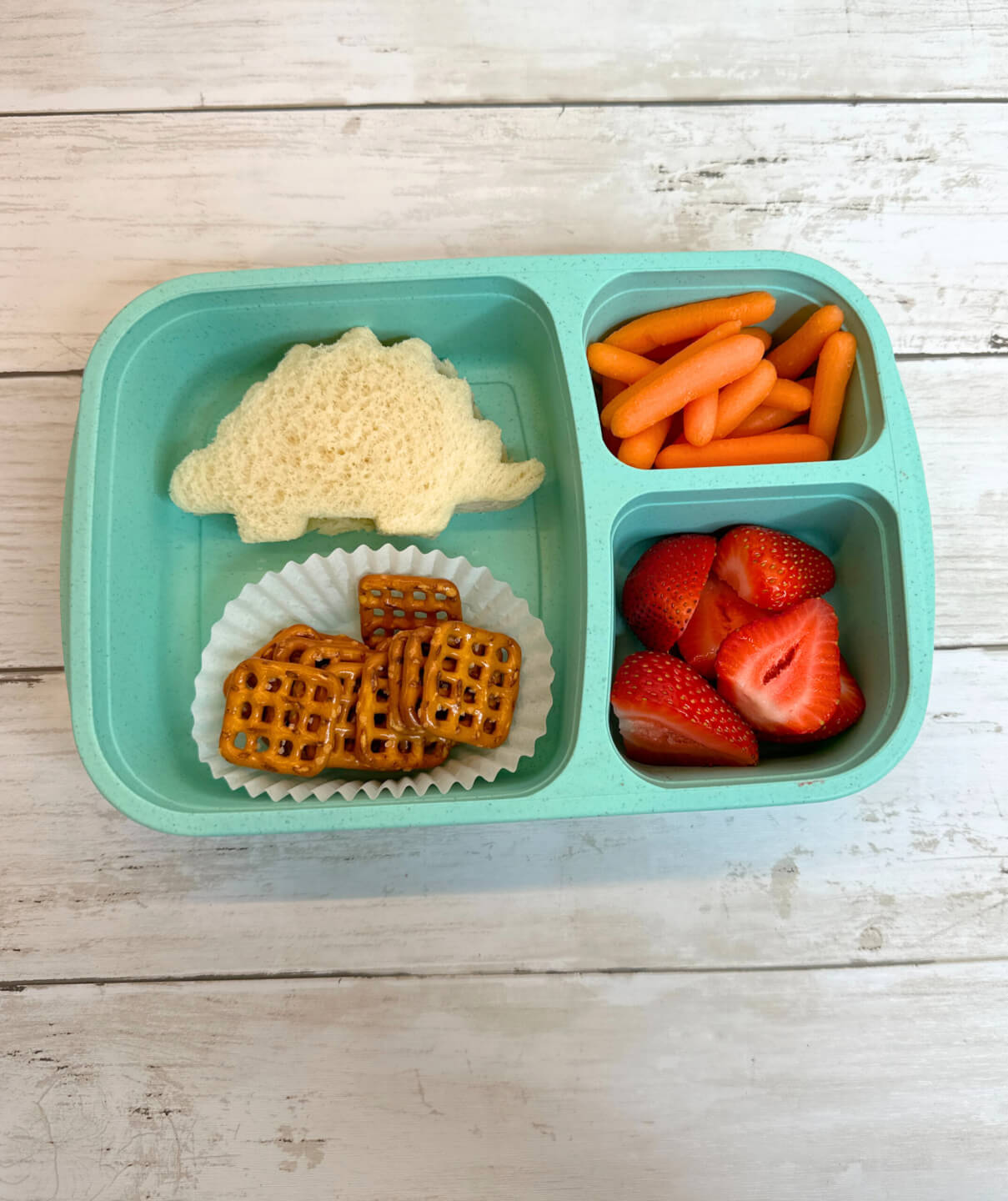 Dino Sandwich Berry Lunchbox - Wish Farms