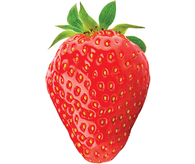 Strawberry fruit image link