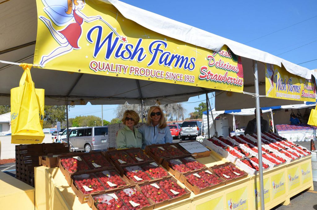 florida-strawberry-festival-concert-giveaway-wish-farms