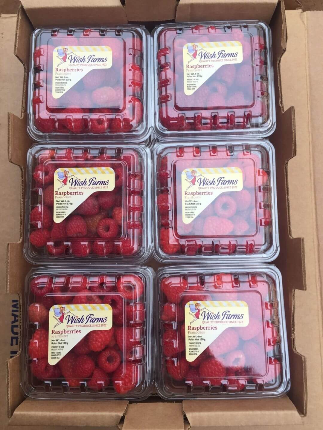 Raspberry Wish Farms Plant City