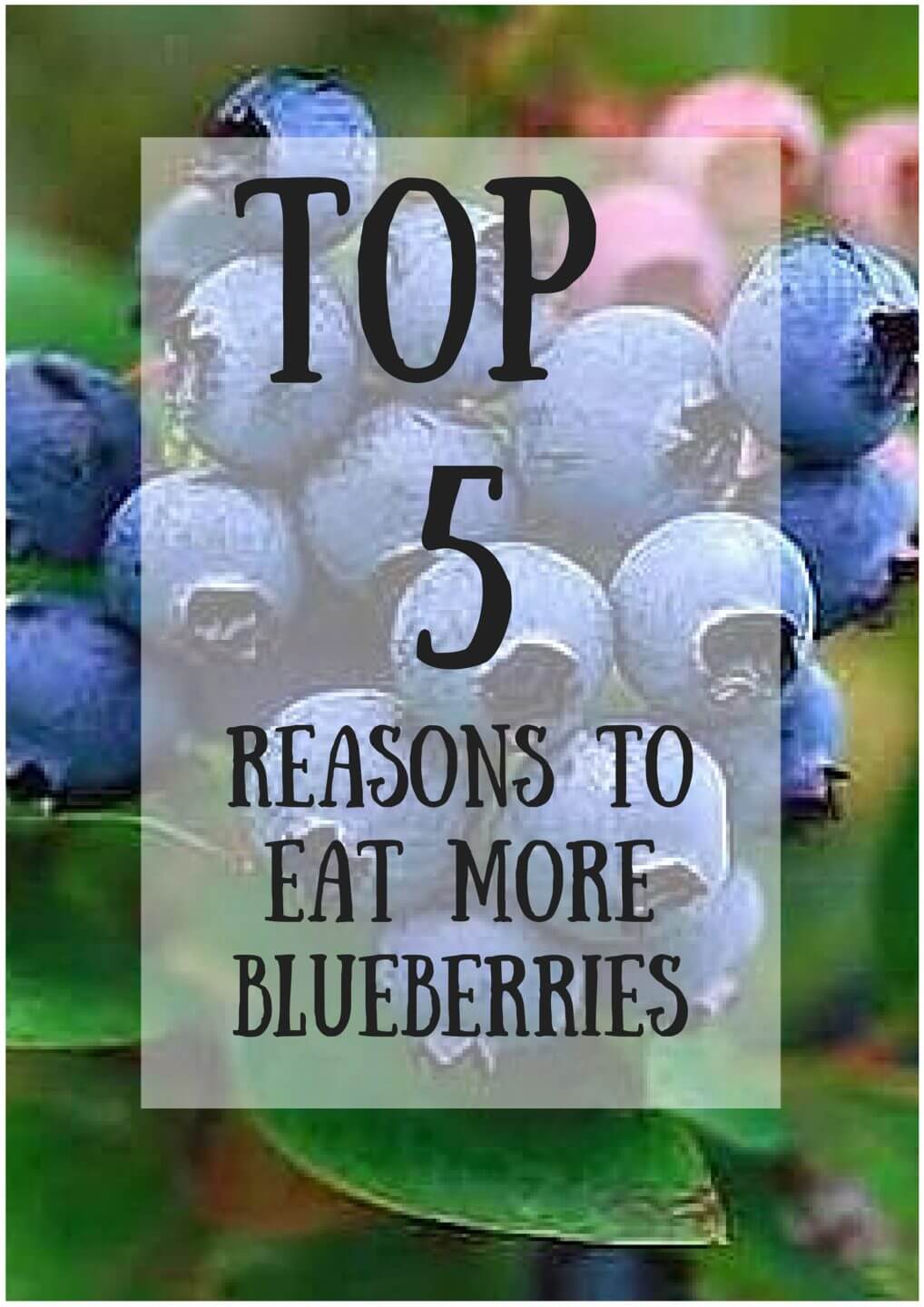 Top 5 Reasons to Eat More Blueberries - Wish Farms