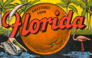 Florida Citrus blog FFVA