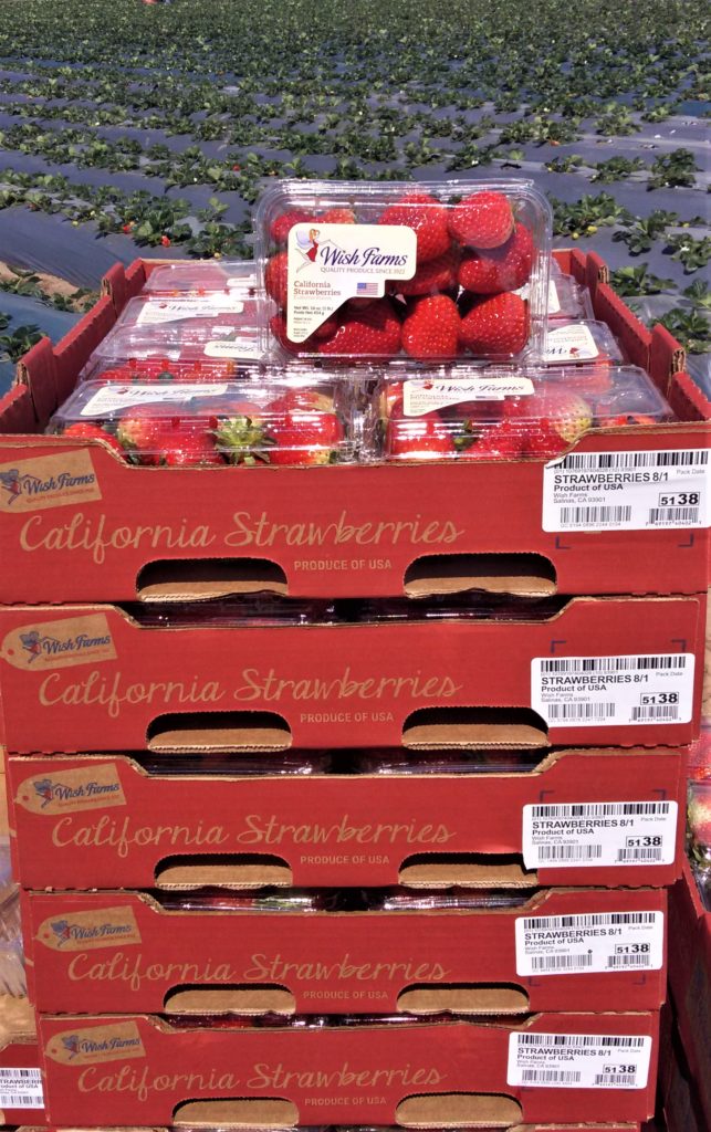Wish Farms California Farms Donate Berries to Monterey County Food Bank