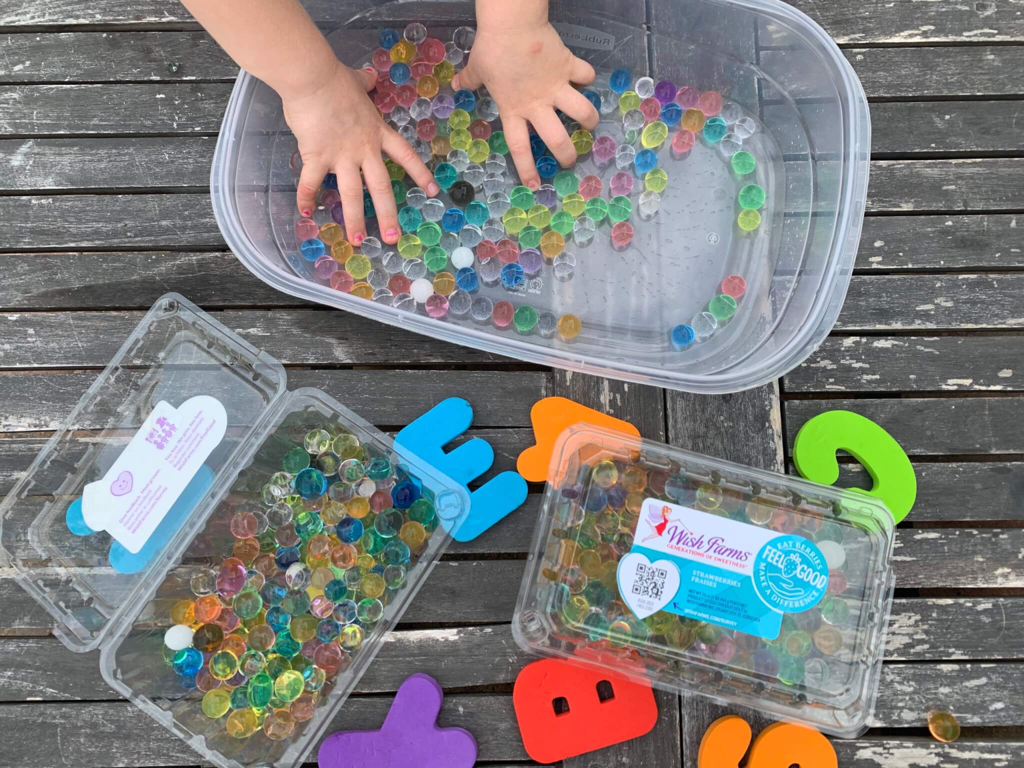 Berry Container Craft for Kids- Sensory - Wish Farms