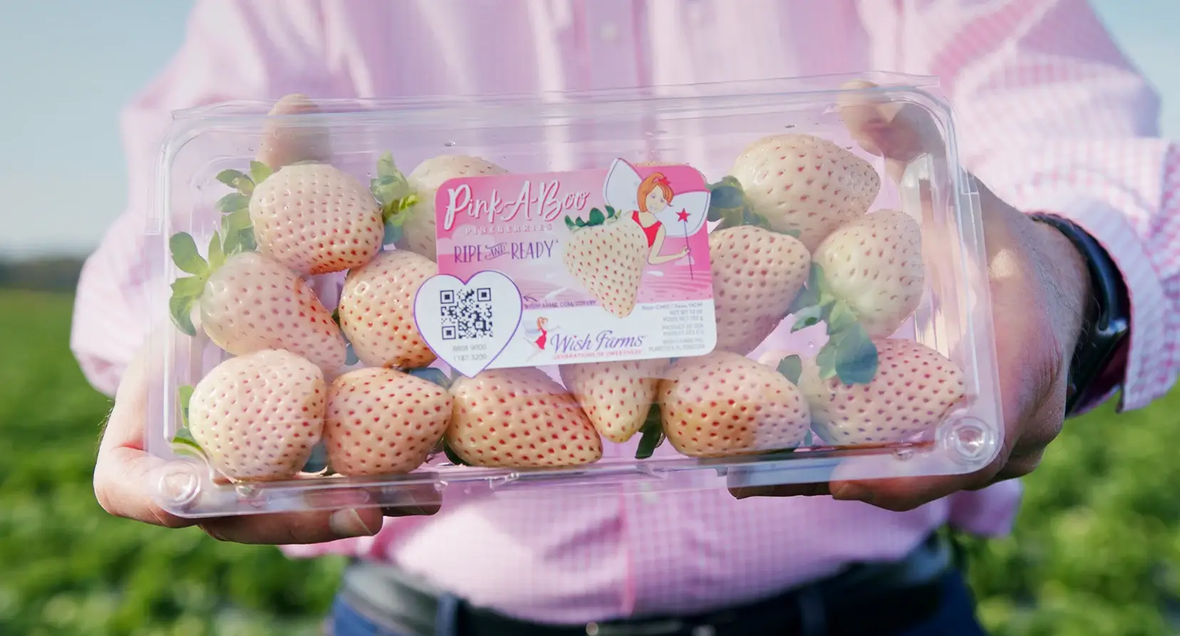 Pink-A-Boo® Pineberries, White Strawberries