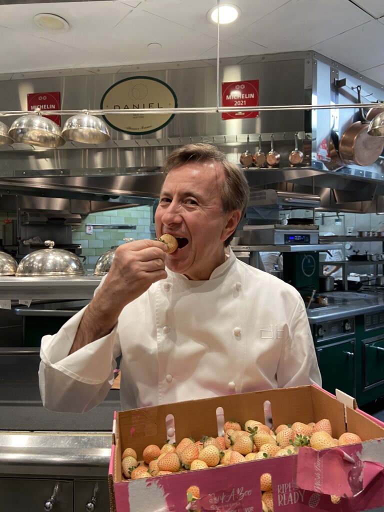 Chef Boulud Tastes Pink-A-Boo Pineberries®