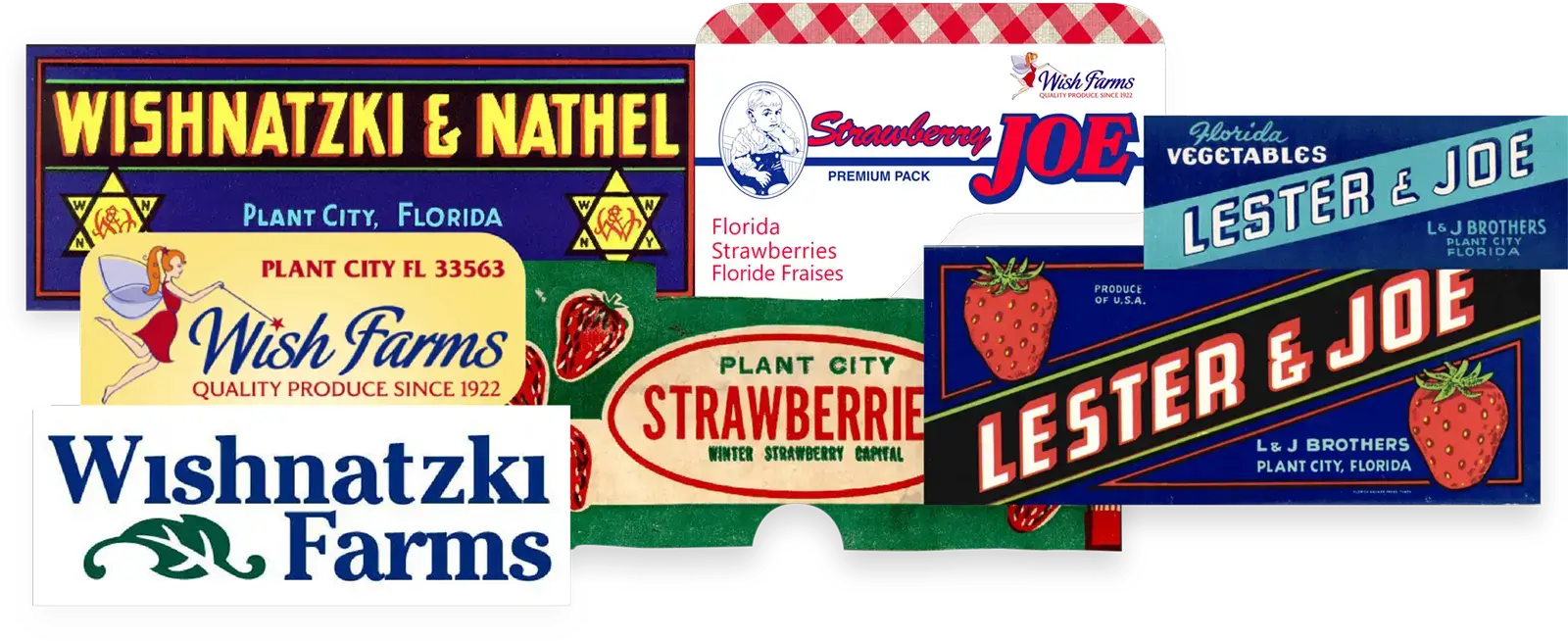 Our Label's Through the Years