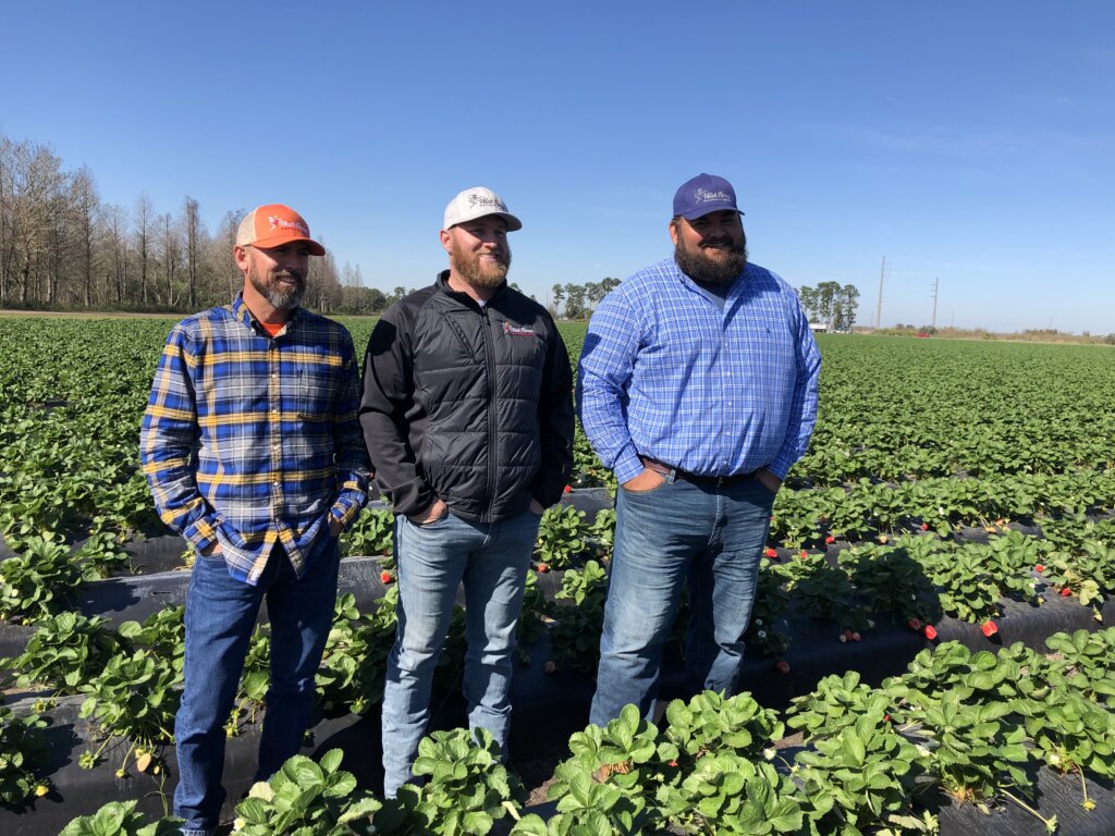 G&D Growers