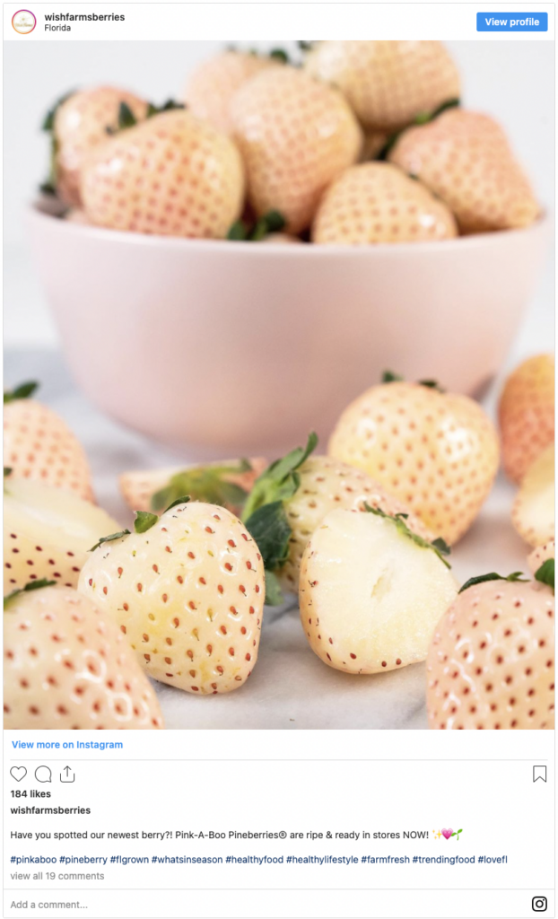 Wish Farms' Pink-A-Boo® Pineberries are “Taking TikTok By Storm” - Wish  Farms