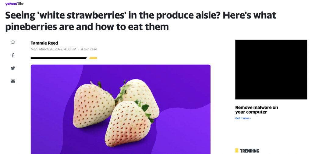 Pineberries on Yahoo!