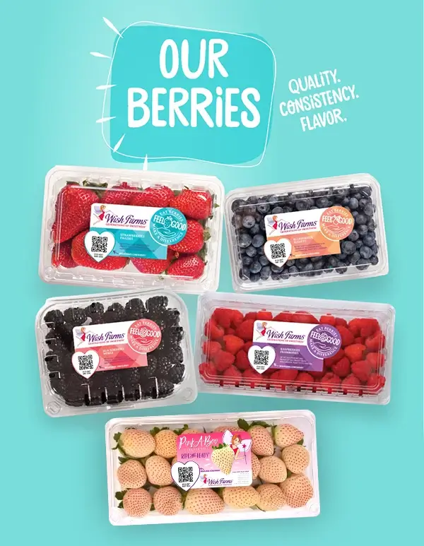 Meet the berries banner image