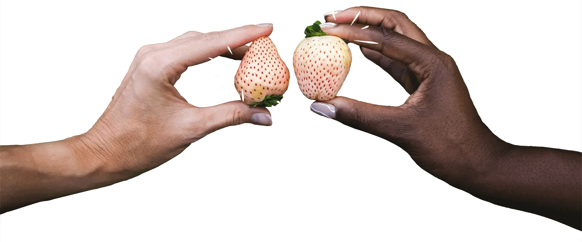 Image of hands toasting Pineberries