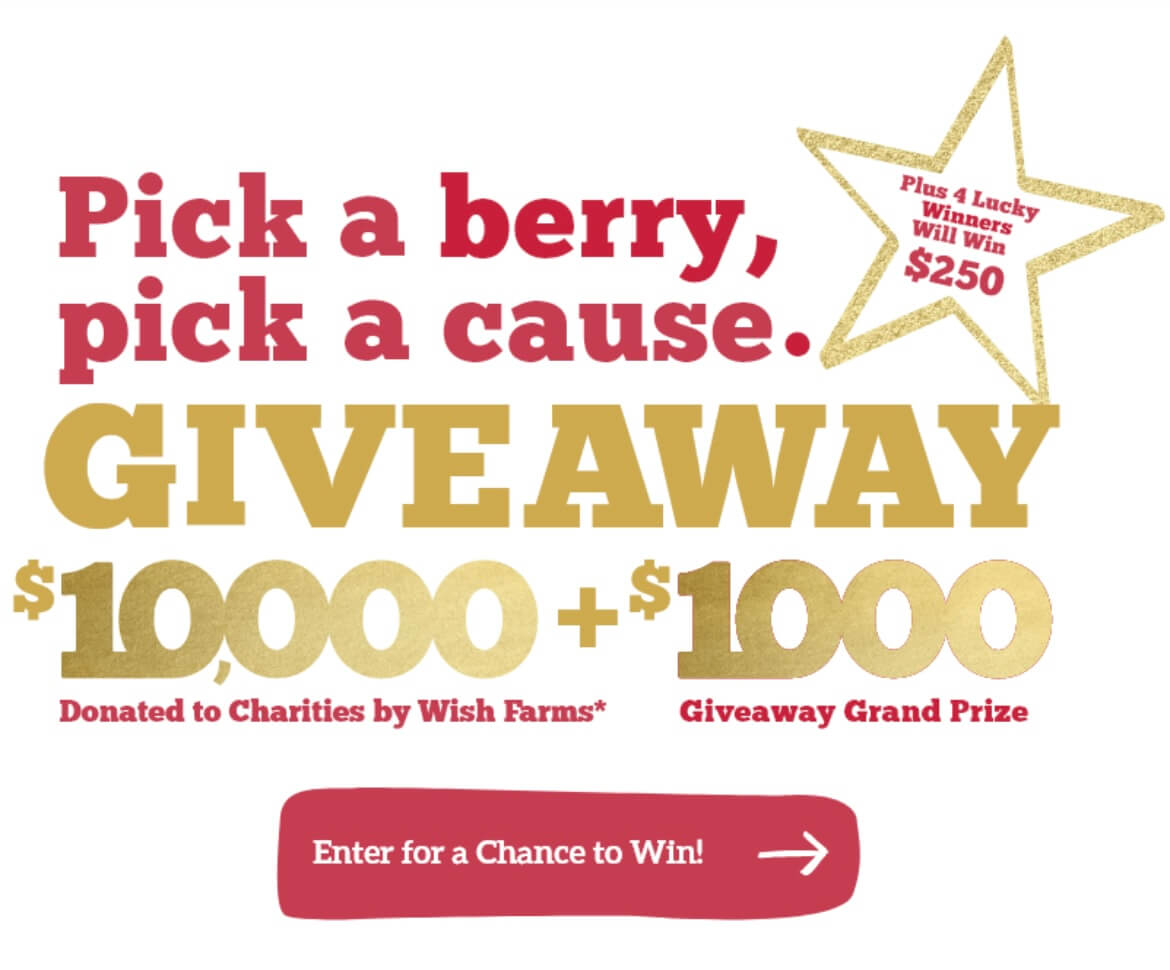 Wish Farms Celebrates 100 Years with “Pick-A-Berry, Pick-A-Cause ...