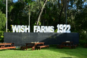 Wish Farms Celebrates 100 Years With PixieRock Music Festival