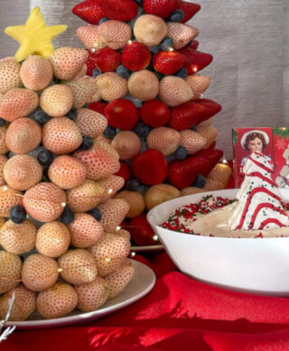 Fun holiday appetizers and desserts from berry grower Wish Farms.