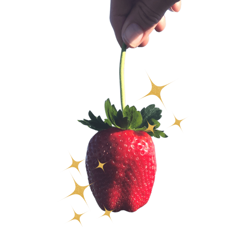 StarBerries™ Wish Farms