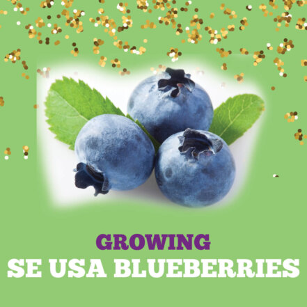 SE USA Blueberry Home page square