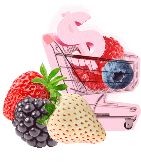 fruits-cart-optimized