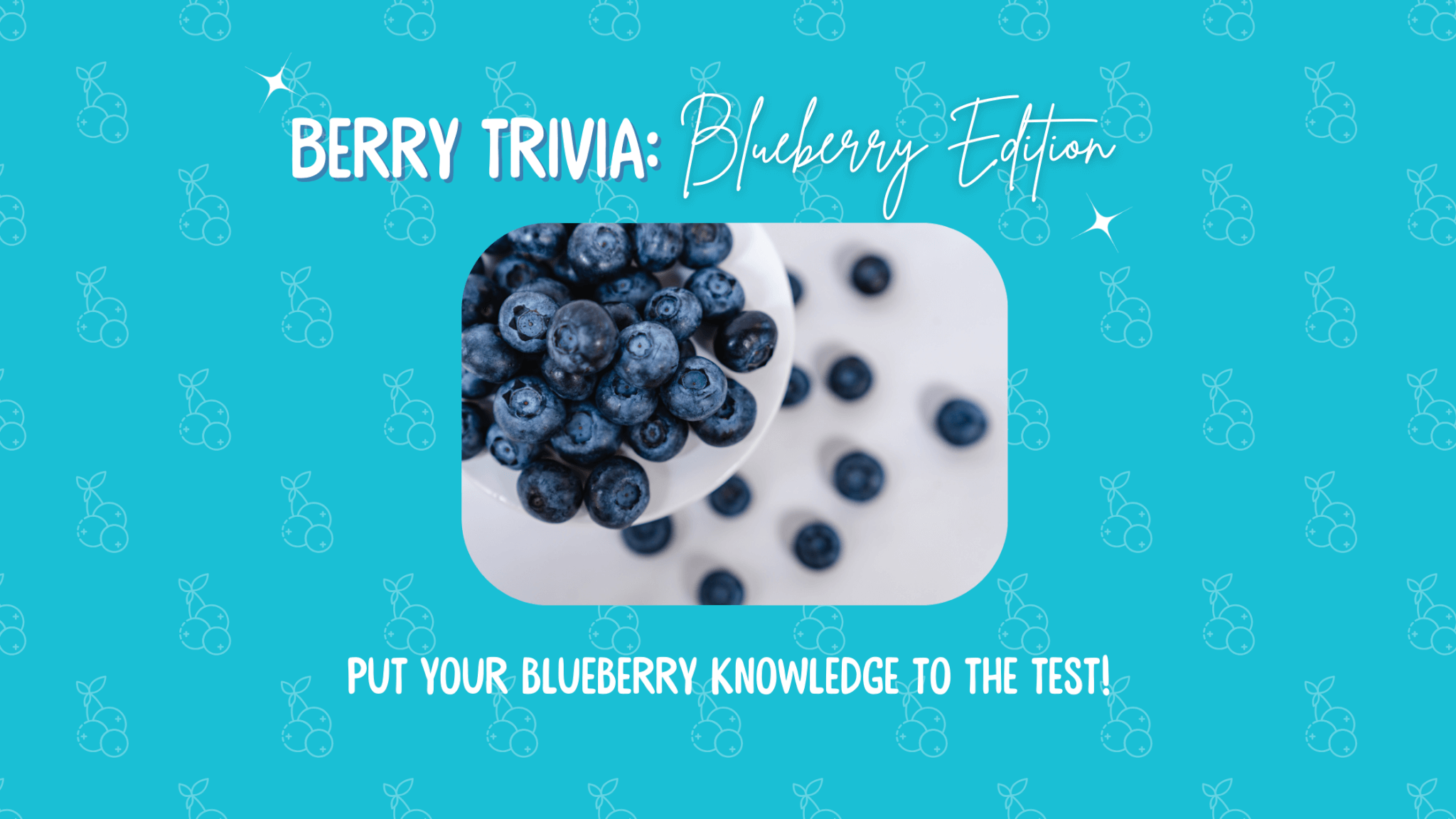 Berry Trivia: Blueberry Edition - Wish Farms