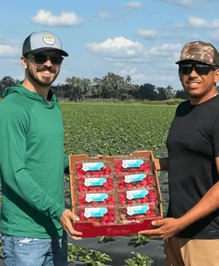 Two people standing in a crop field holding a box of Wish Farms packaged berries.