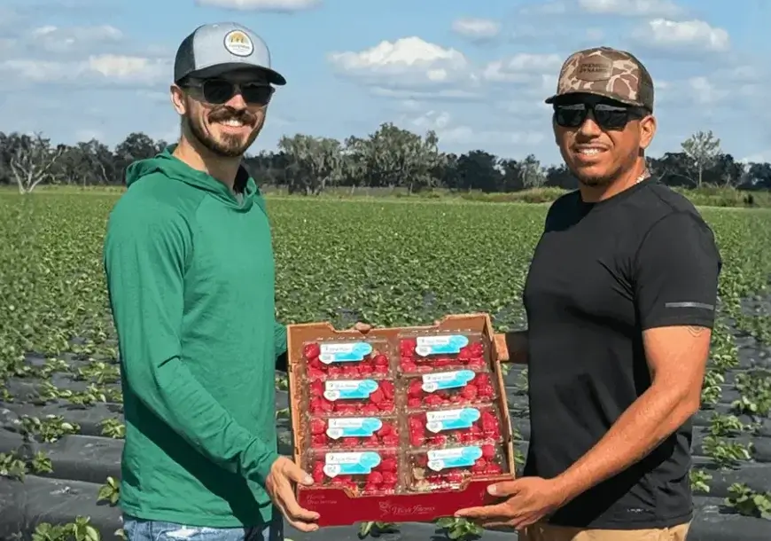 Two people standing in a crop field holding a box of Wish Farms packaged berries.