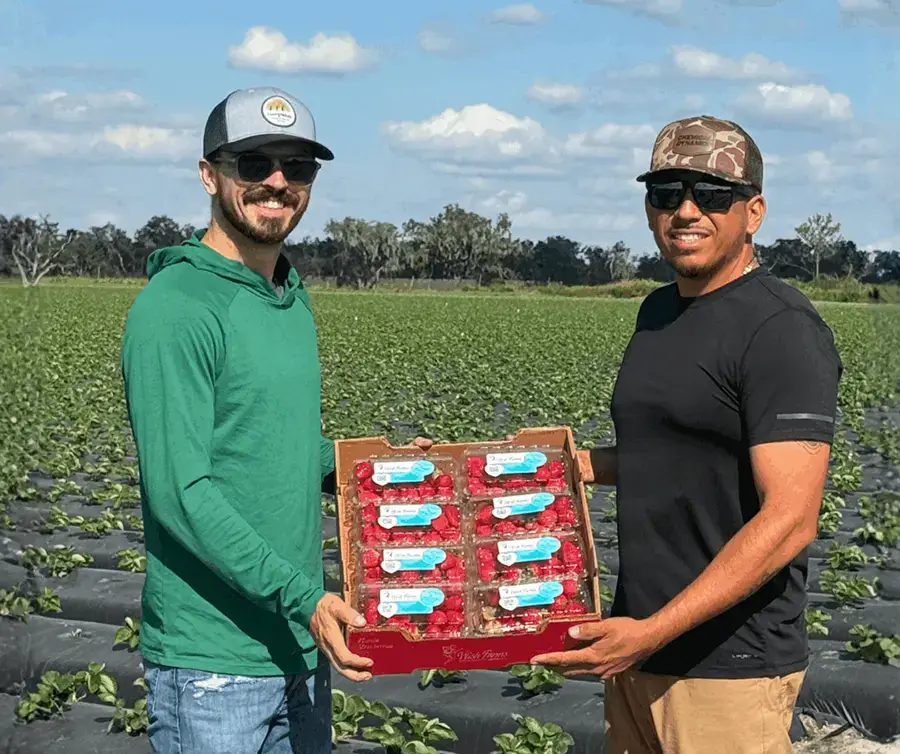 Two people standing in a crop field holding a box of Wish Farms packaged berries.