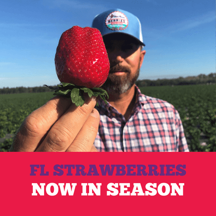 Homepage Feature Squares