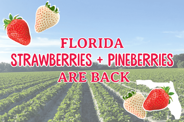 An image banner with 