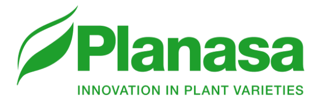 Planasa Logo